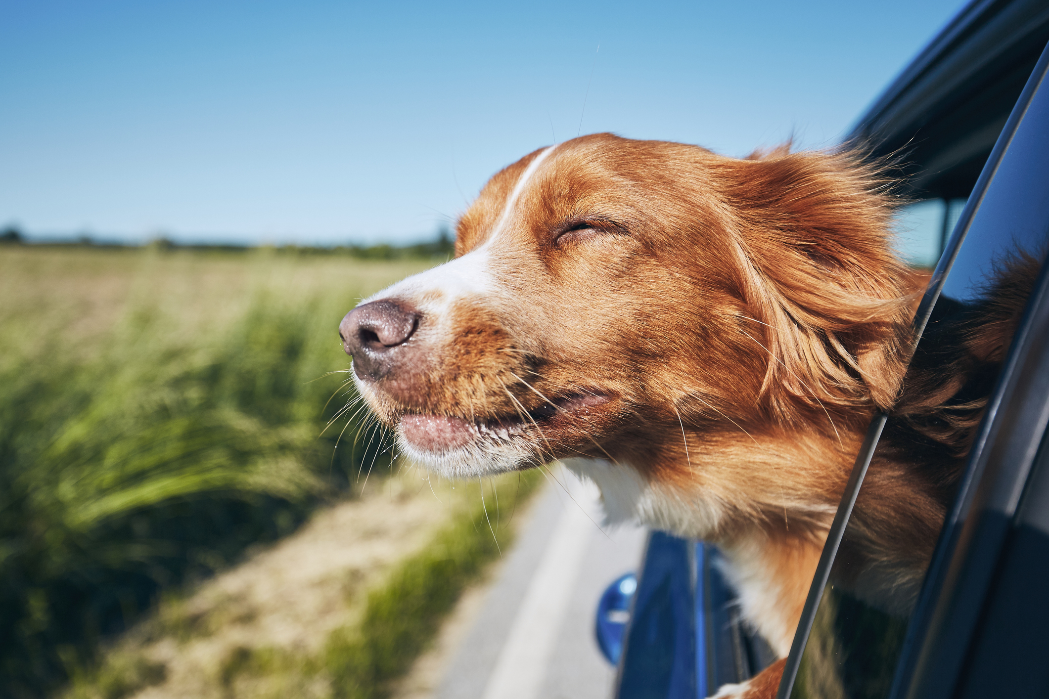 HVAC Allergy Filters